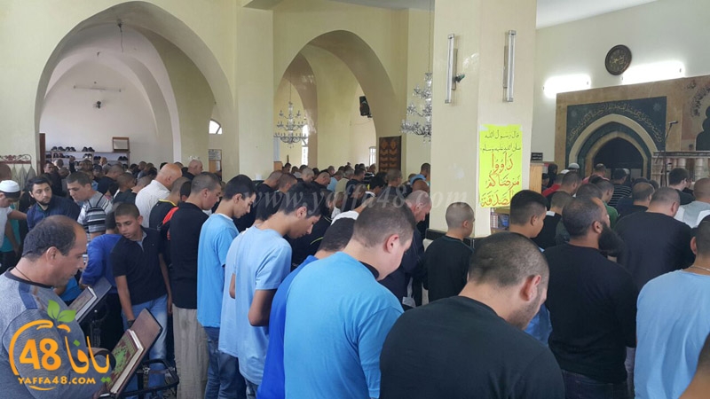 tasheye3 dakkej (7).JPG